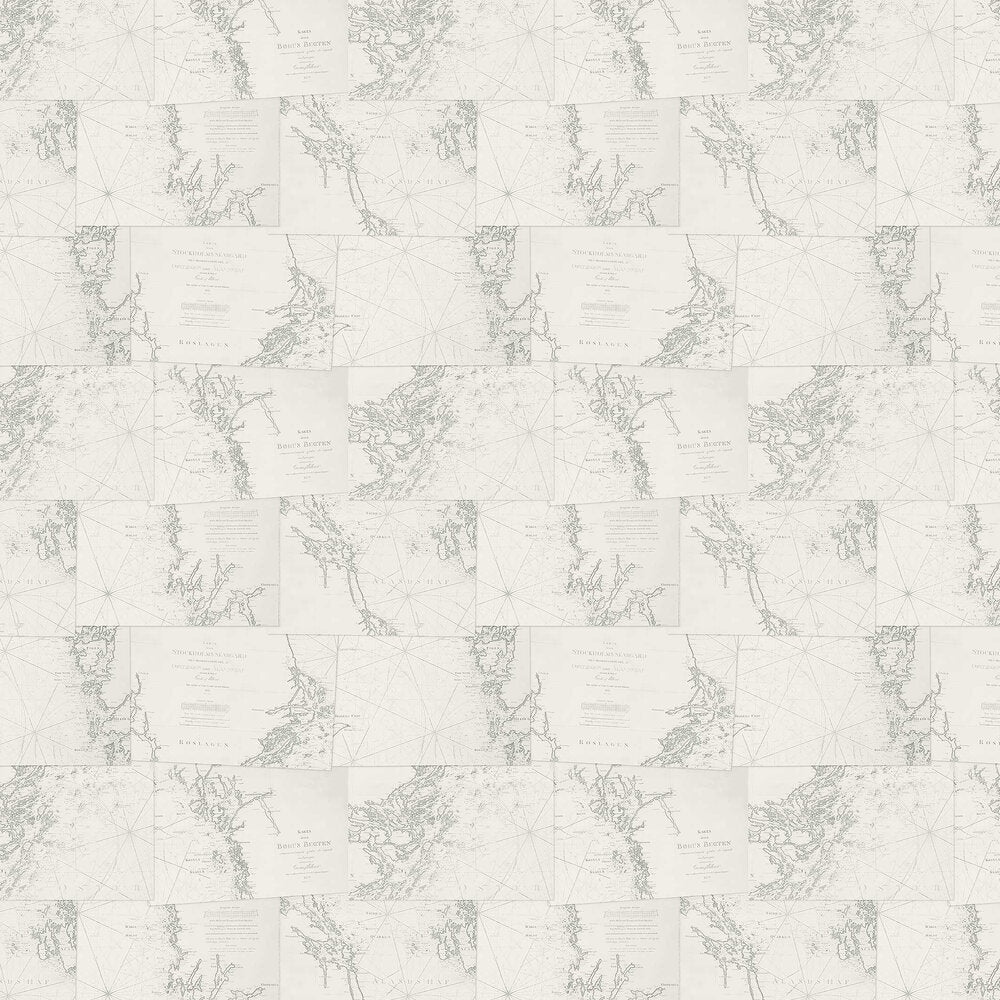 Coastline Wallpaper - Grey - Boråstapeter - 8868 - Premier Wallcovering