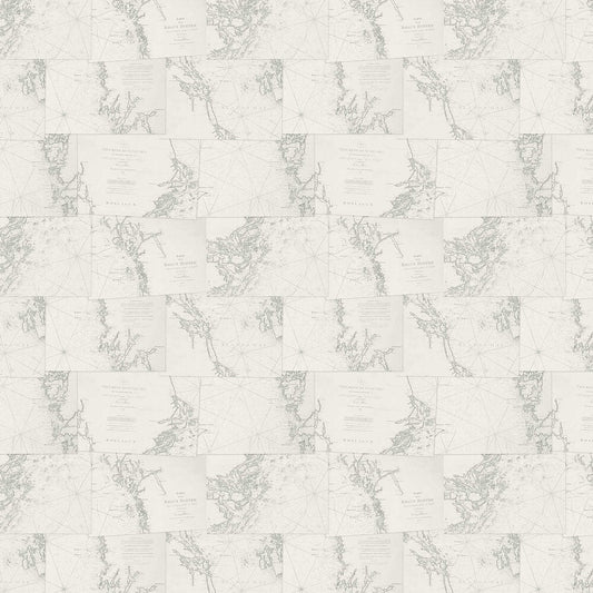 Coastline Wallpaper - Grey - Boråstapeter - 8868 - Premier Wallcovering
