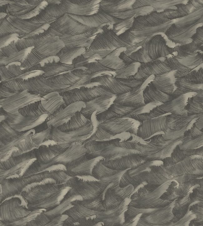 Columbus Wallpaper - Metallic Gilver & Soot - 103/13056 - Cole & Son - Premier Wallcovering
