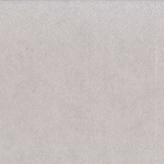 Constellation Wallpaper - Grey - Casadeco - 29580503 - Premier Wallcovering