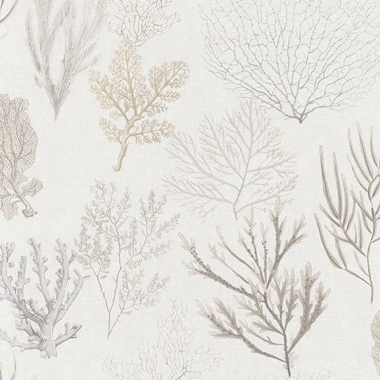 Corail Rivage Wallpaper - Beige - Casadeco - 83971120 - Premier Wallcovering
