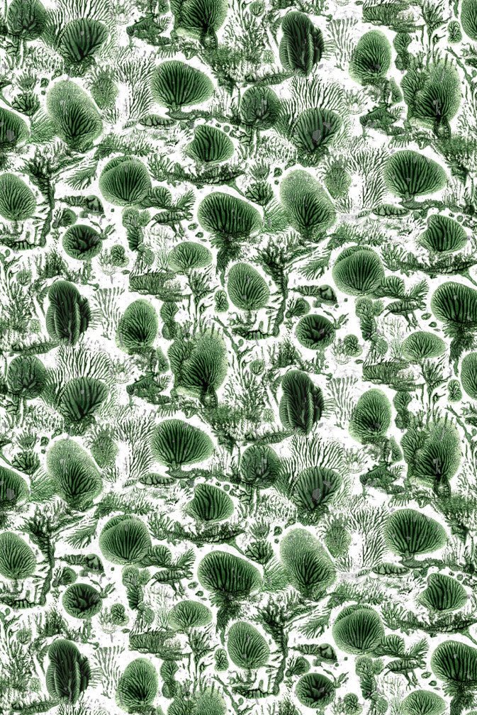 Coral Blotch Cork Wallpaper - Original - Timorous Beasties - SSC/CBLO/CK62021/01 - Premier Wallcovering