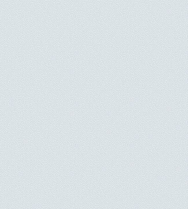 Coral Wallpaper - Powder Blue - 106/5063 - Cole & Son - Premier Wallcovering