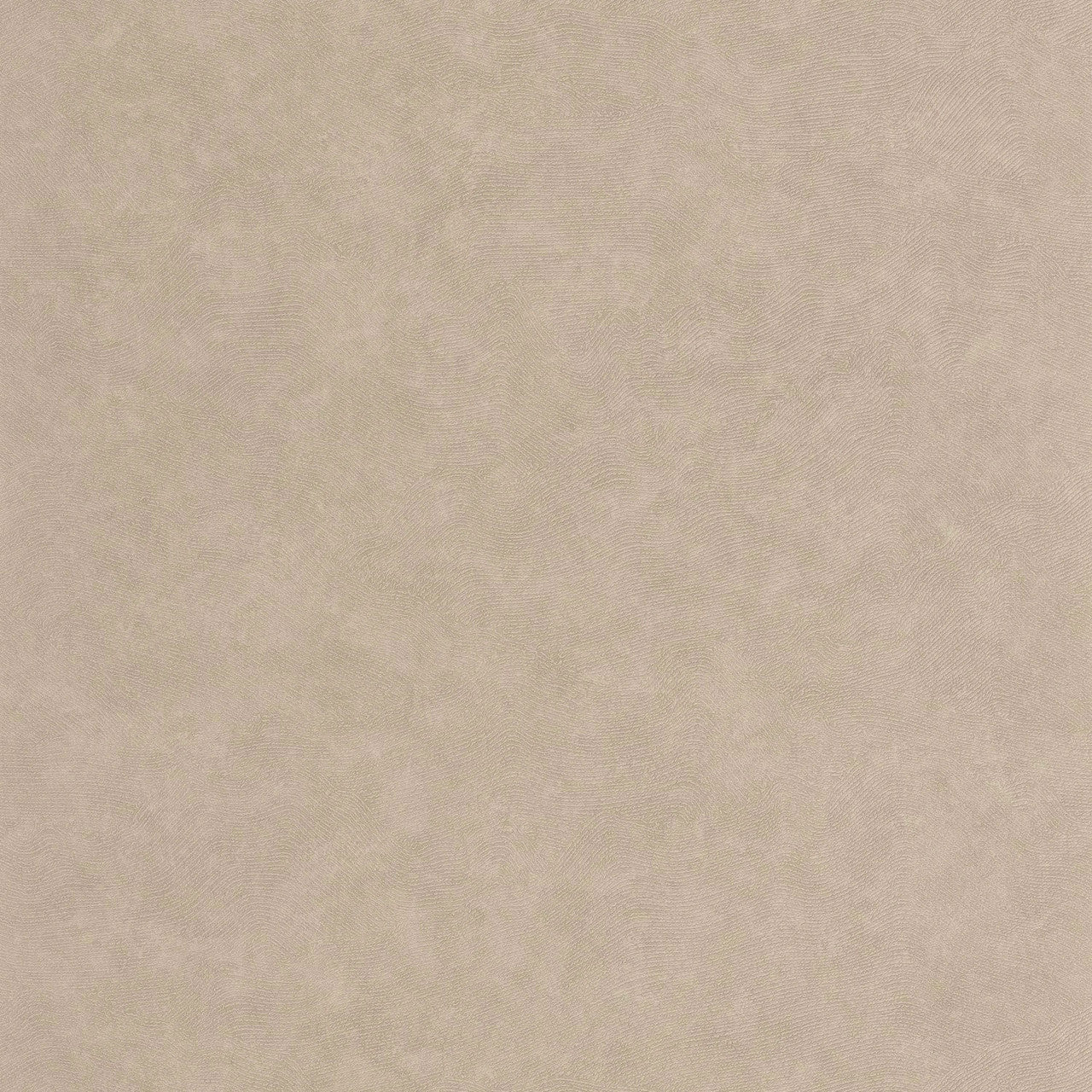 Côte d'Opale Seaside Wallpaper - Taupe - Casadeco - 201491818 - Premier Wallcovering
