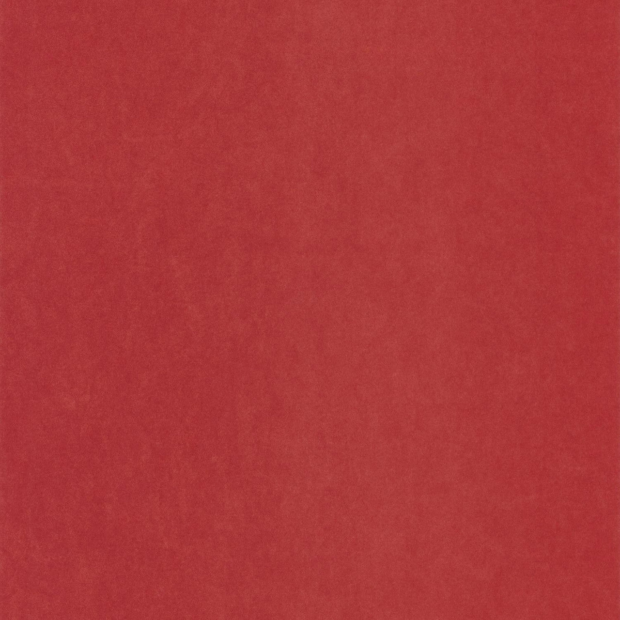 Cotton Touch Kiosque Wallpaper - Rouge Hibiscus - Casadeco - 82388845 - Premier Wallcovering