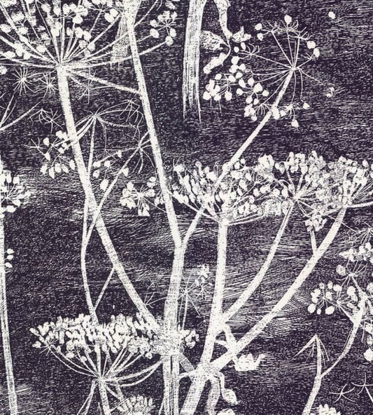 Cow Parsley Wallpaper - Soot & Snow - 66/7046 - Cole & Son - Premier Wallcovering