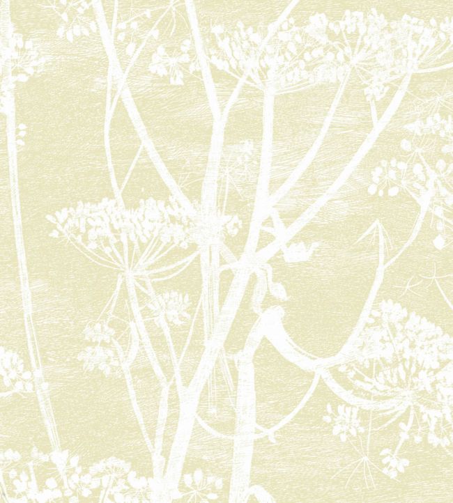 Cow Parsley Wallpaper - White & Soft Yellow - 95/9053 - Cole & Son - Premier Wallcovering
