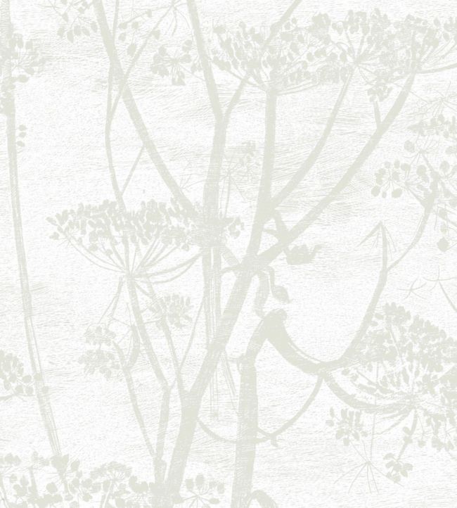 Cow Parsley Wallpaper - Chalk and Parchment - 95/9052 - Cole & Son - Premier Wallcovering