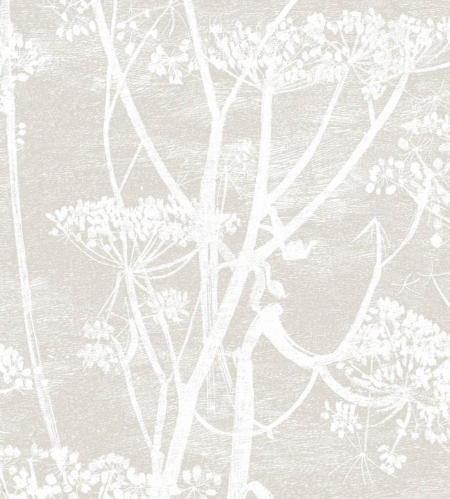 Cow Parsley Wallpaper - Stone & White - 95/9051 - Cole & Son - Premier Wallcovering
