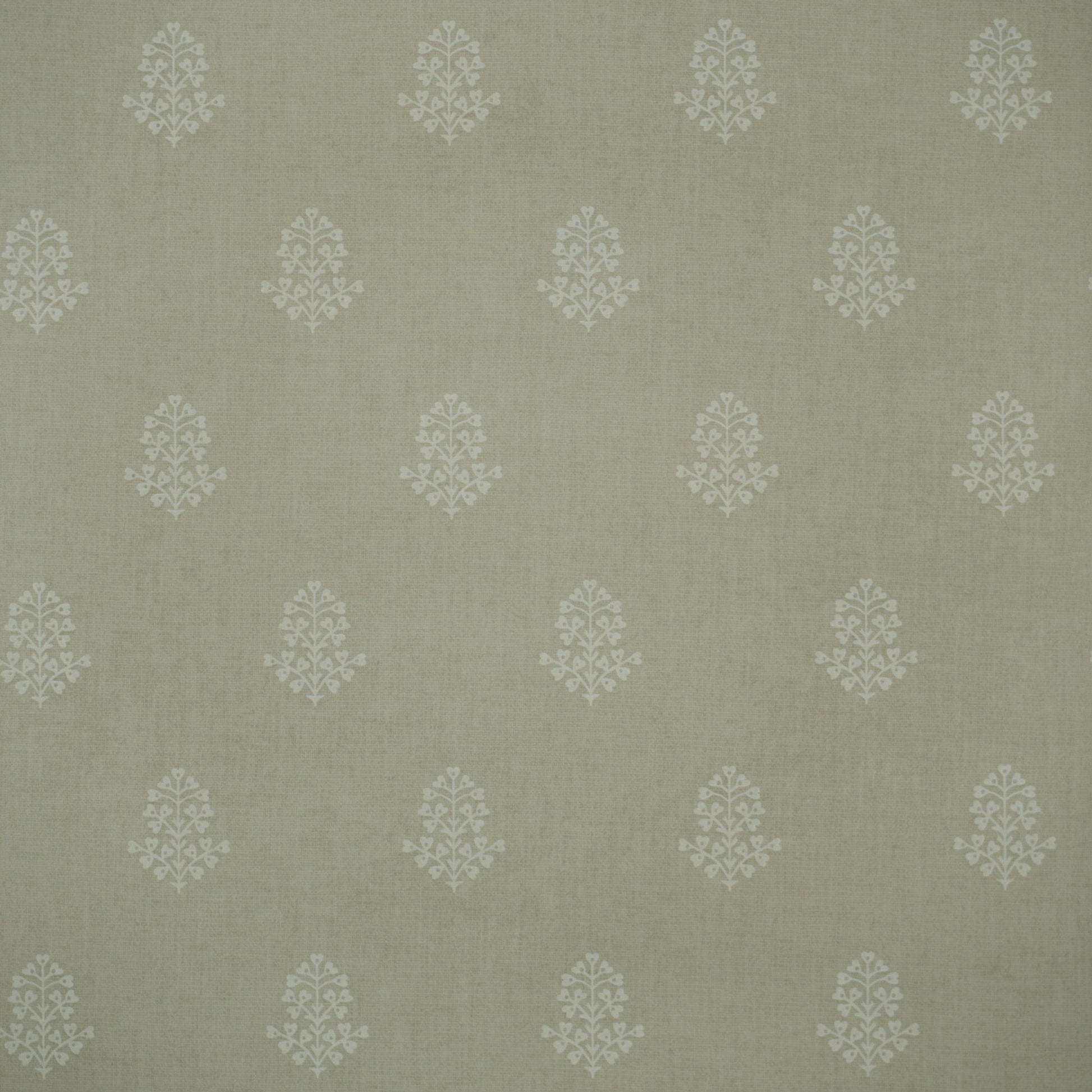 Cow Parsley Wallpaper - Stone - Andrew Martin - GPWCPST