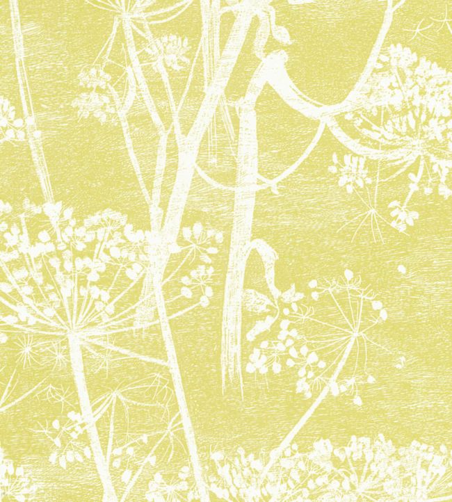 Cow Parsley Wallpaper - White & Chaurtreuse - 66/7051 - Cole & Son - Premier Wallcovering