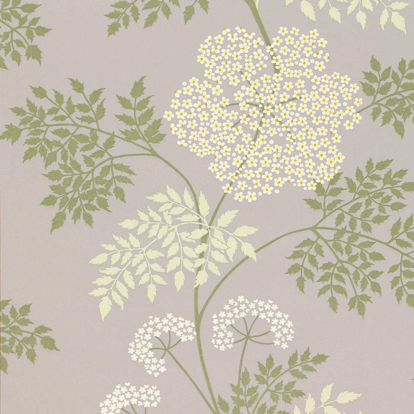 Cowparsley Wallpaper - Amethyst - DOPWCO103 - Sanderson