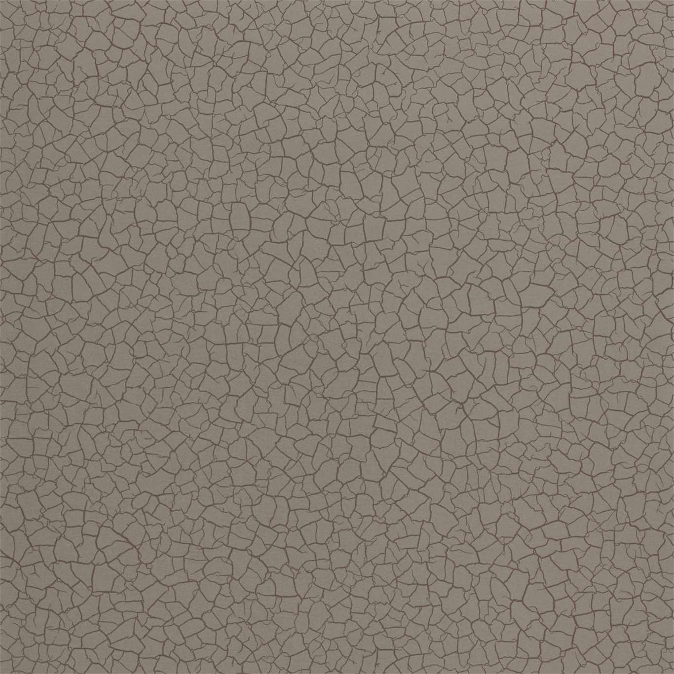 Cracked Earth Wallpaper - Gobi - ZSEI312834 - Zoffany