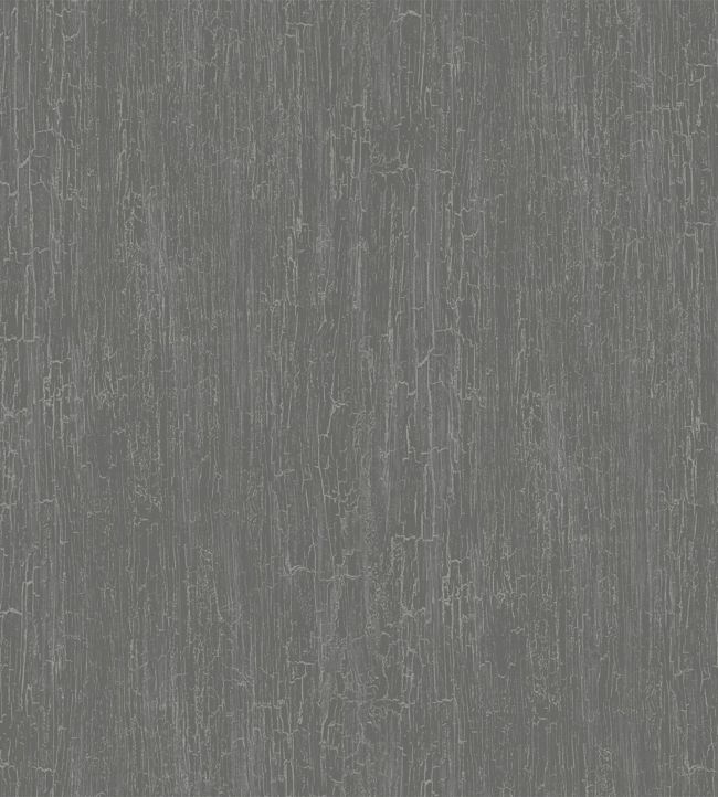 Crackle Curio Wallpaper - Metallic Gilver on Charcoal - 107/11050 - Cole & Son - Premier Wallcovering