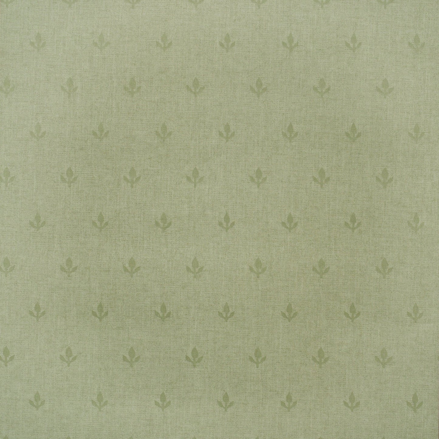 Crocus Wallpaper - Leaf Green - Andrew Martin - GPWCRLF