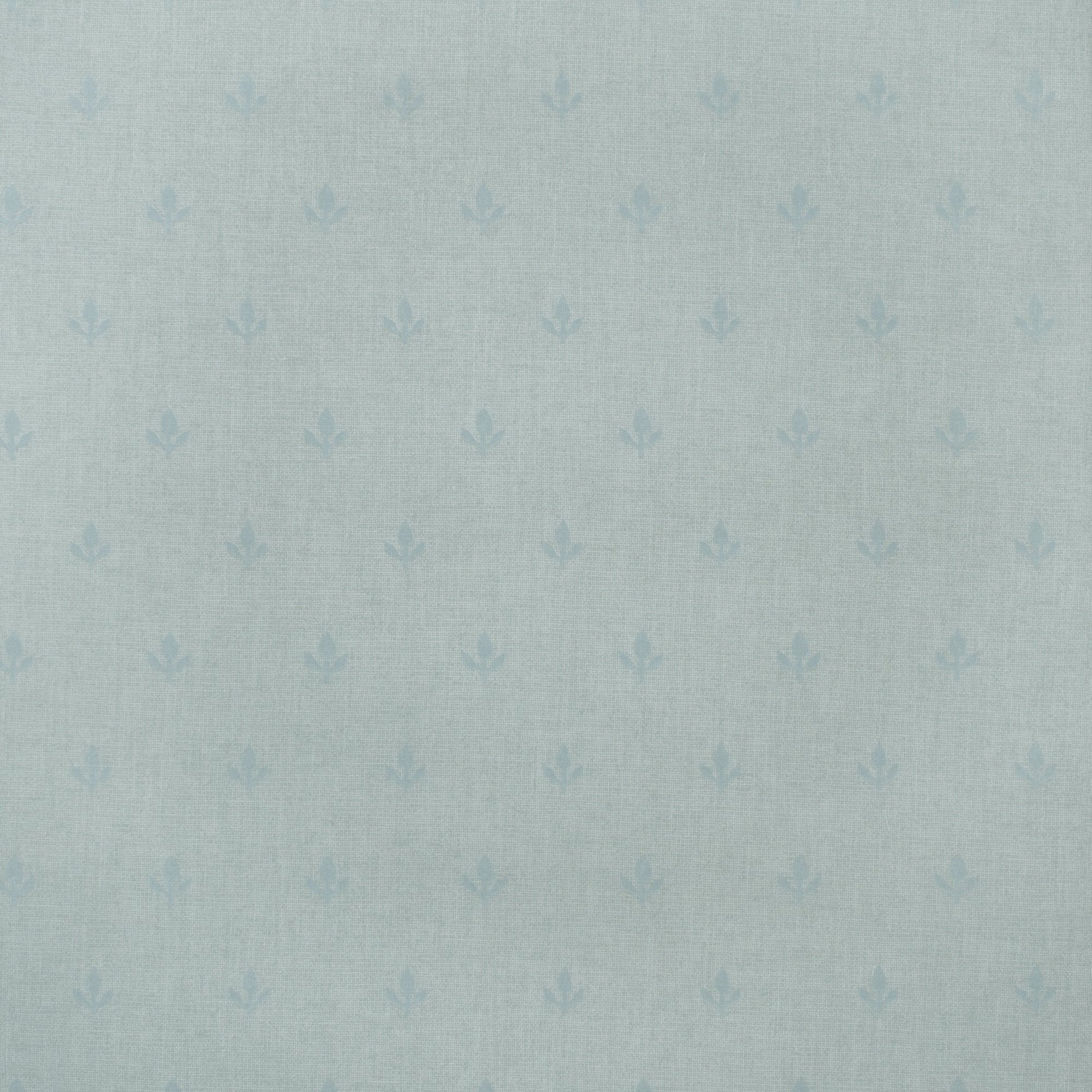 Crocus Wallpaper - Sky - Andrew Martin - GPWCRSK