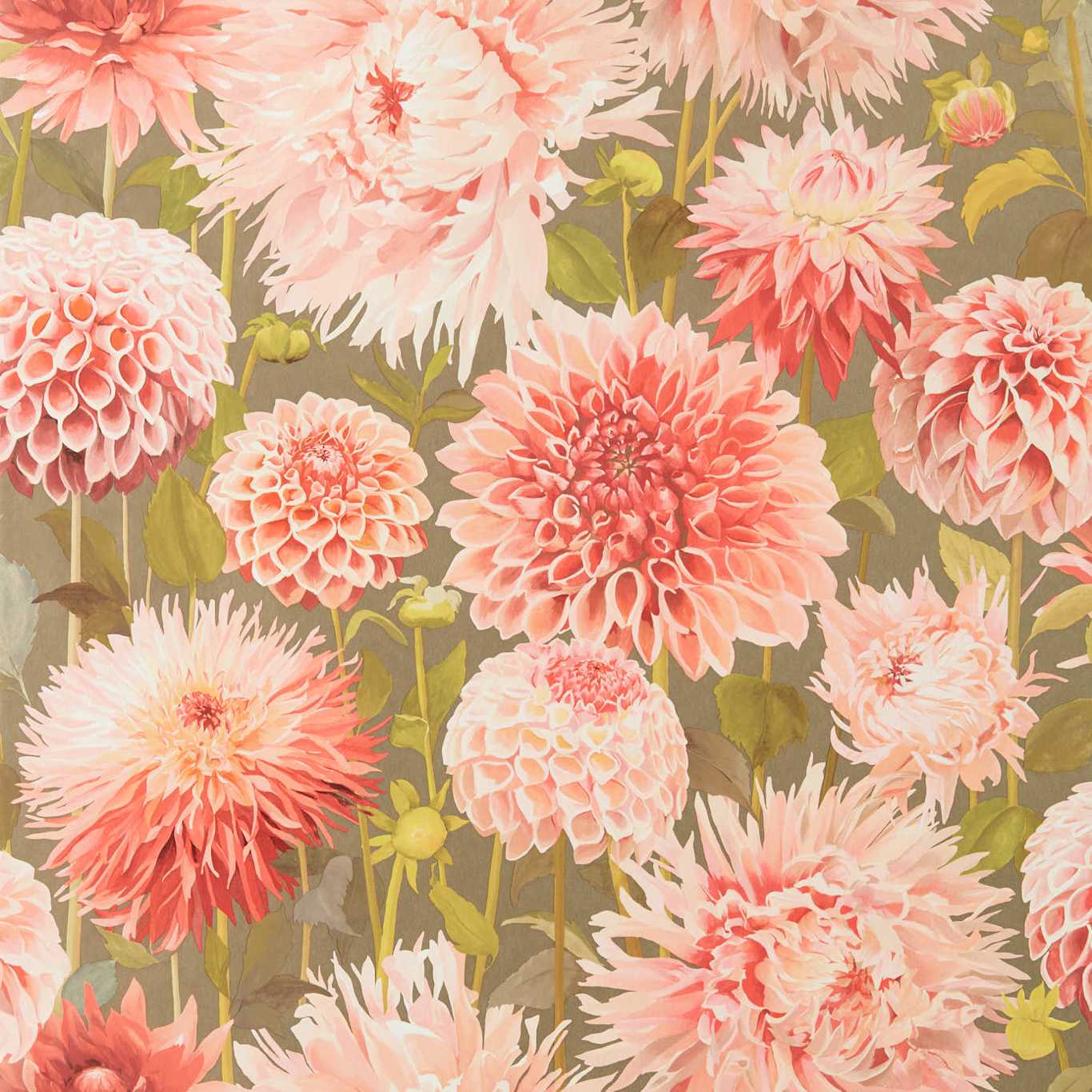 Dahlia Wallpaper - Coral/Fig Leaf/Gilver - HQN2112845 - Harlequin - Premier Wallcovering