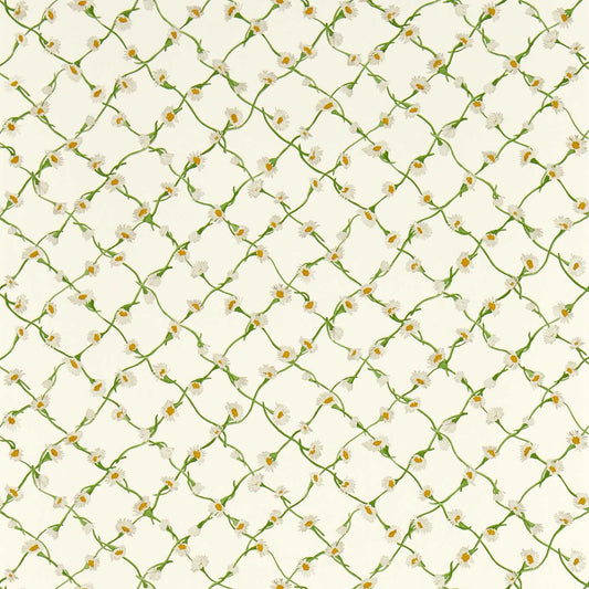 Daisy Trellis Wallpaper - Emerald/Pearl - HSRW113043 - Harlequin - Premier Wallcovering