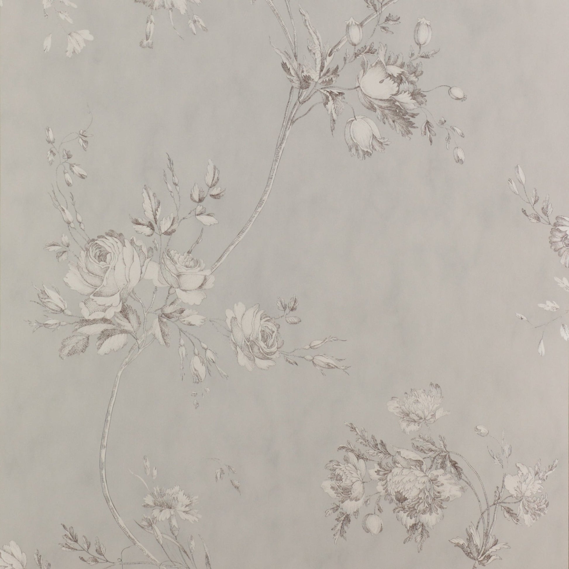 Darcy Wallpaper - Grey - Colefax & Fowler - 07957/09