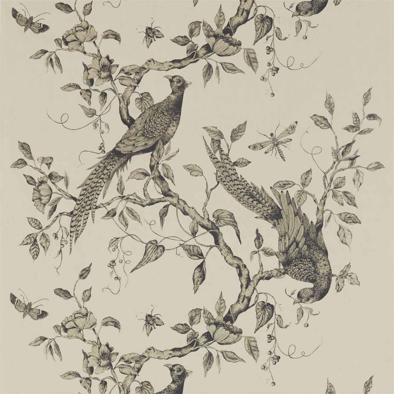 Darnley Wallpaper - Dove - ZDAR312849 - Zoffany