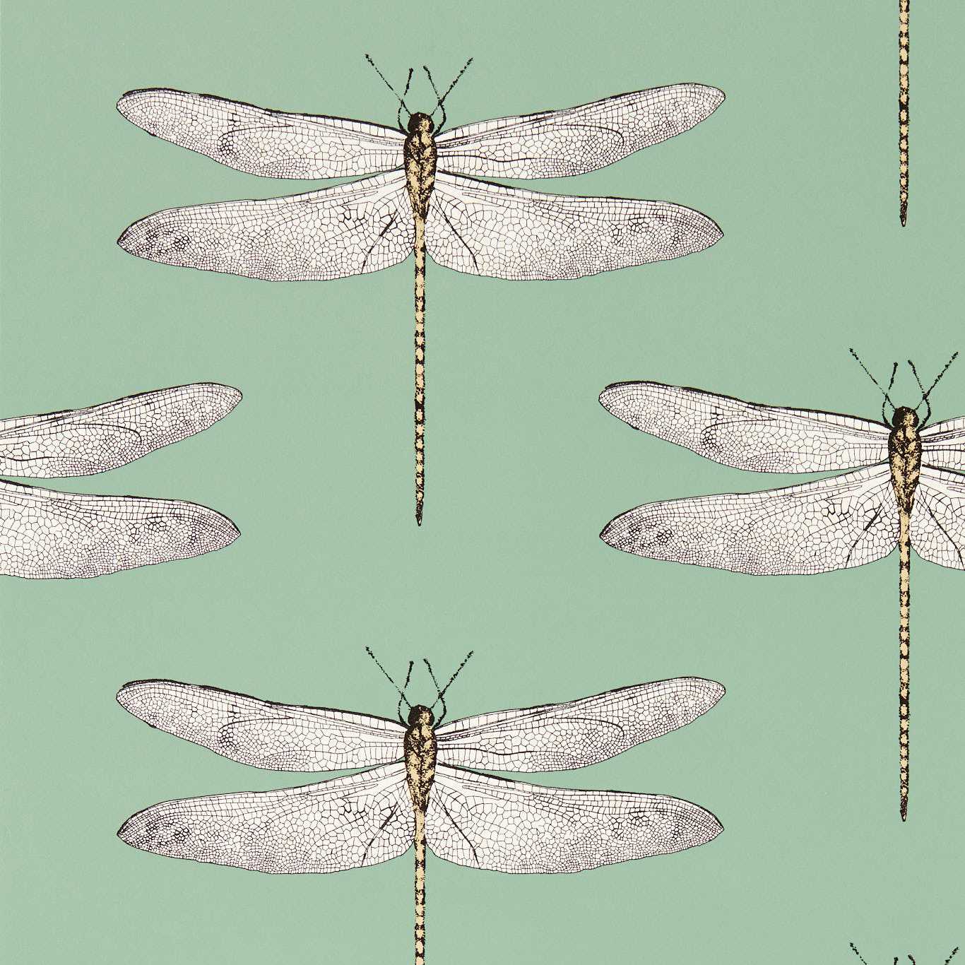 Demoiselle Wallpaper