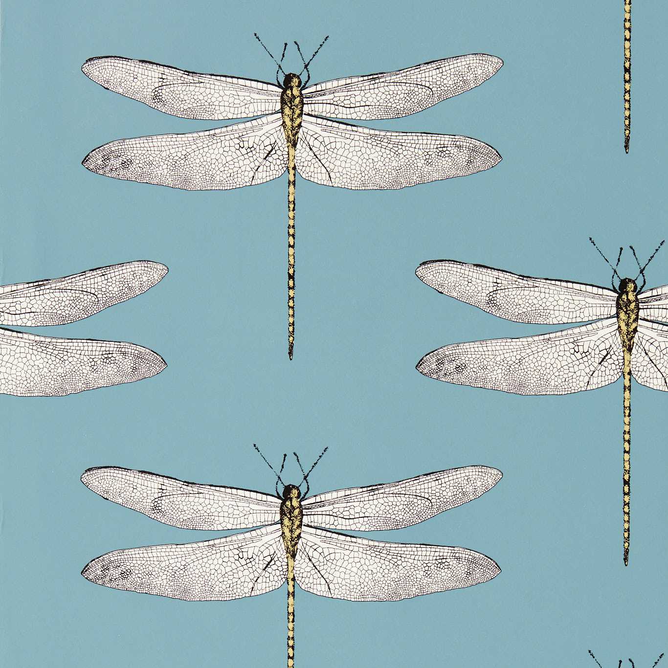 Demoiselle Wallpaper - Cornflower/First Light/Honey - HRTW113144 - Harlequin - Premier Wallcovering