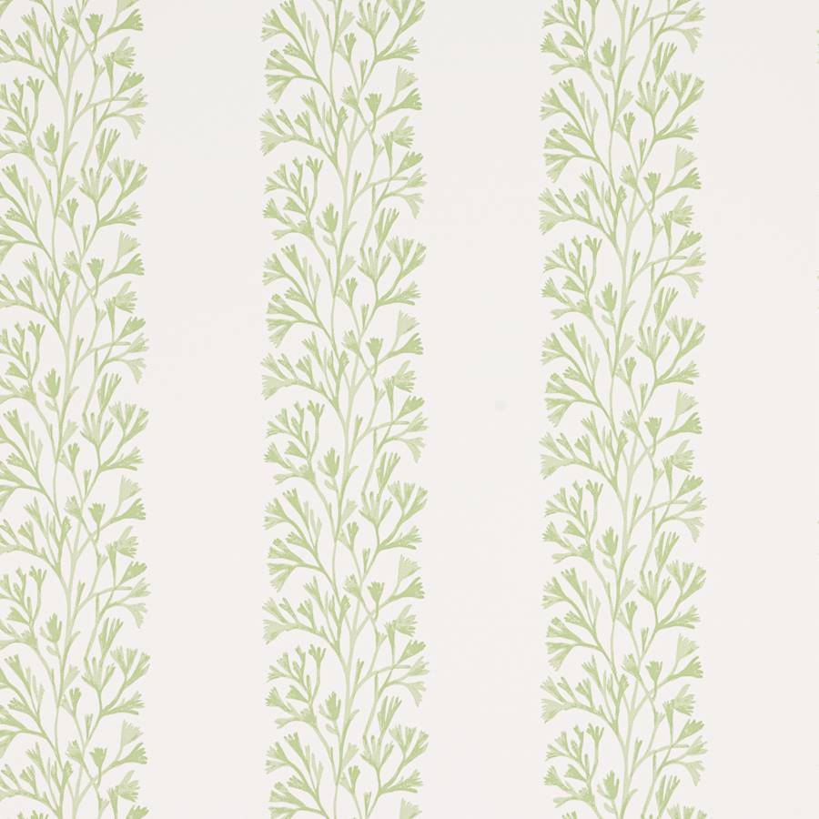 Dita Wallpaper - Green - J196W - 03 - Jane Churchill