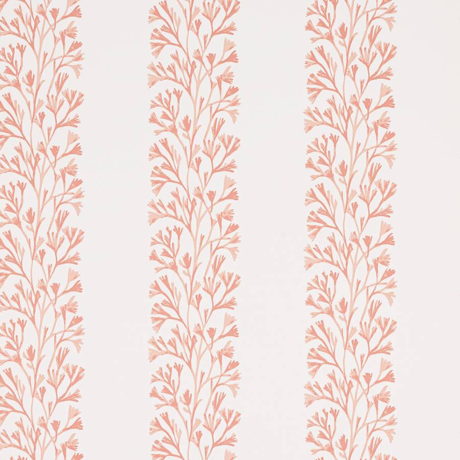 Dita Wallpaper - Coral - J196W - 02 - Jane Churchill