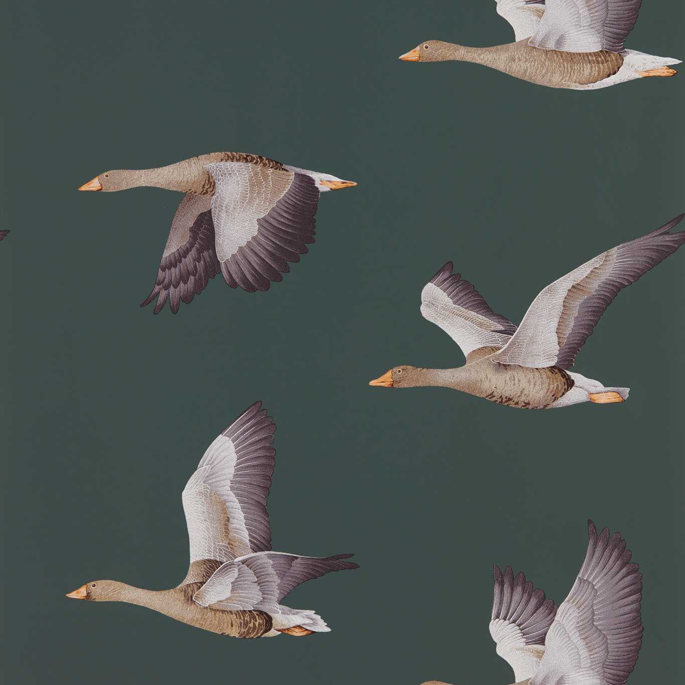 Elysian Geese Wallpaper - Amsterdam Green - DYSI216608 - Sanderson