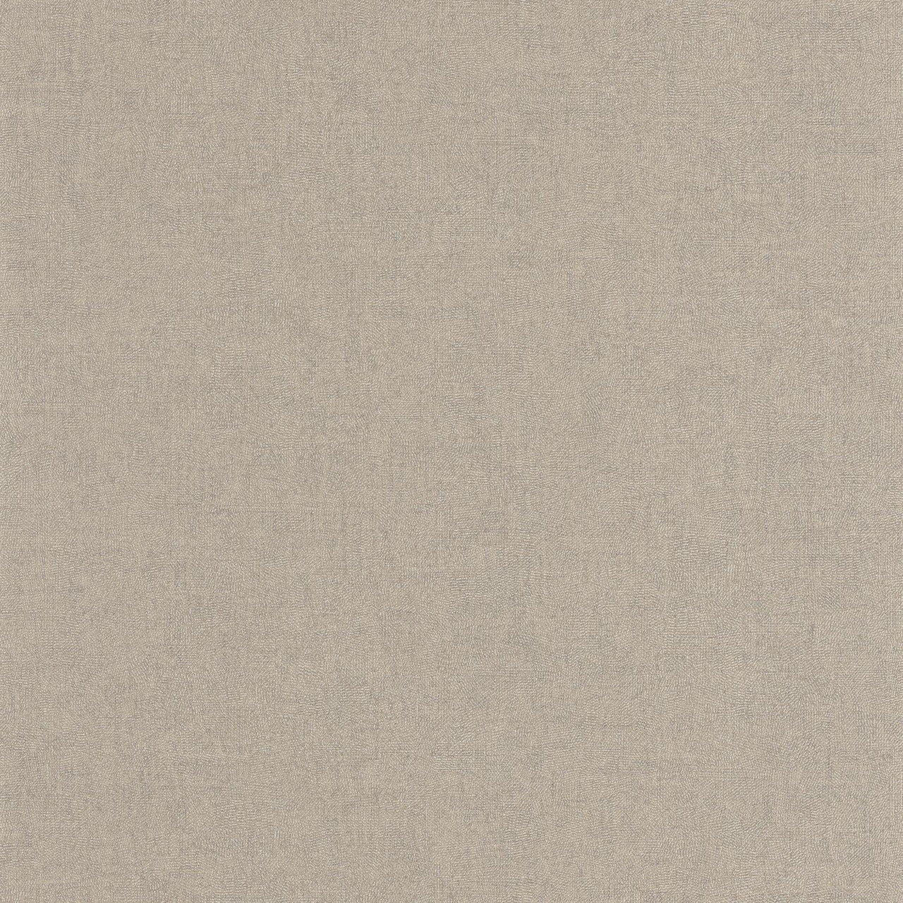 Empreinte Sentier Des Dunes Wallpaper - Taupe - Casadeco - 88701622 - Premier Wallcovering