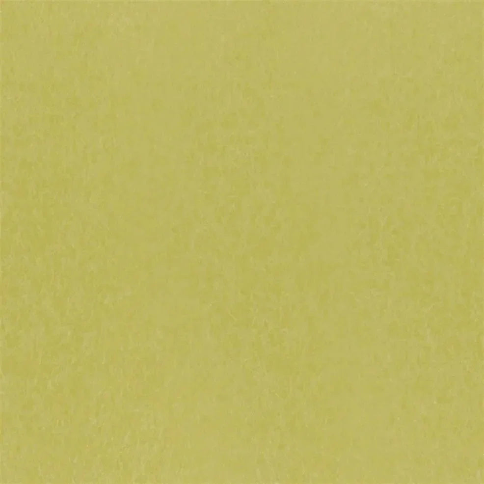 Ernani Wallpaper - Alchemilla - P502/69 - Designers Guild