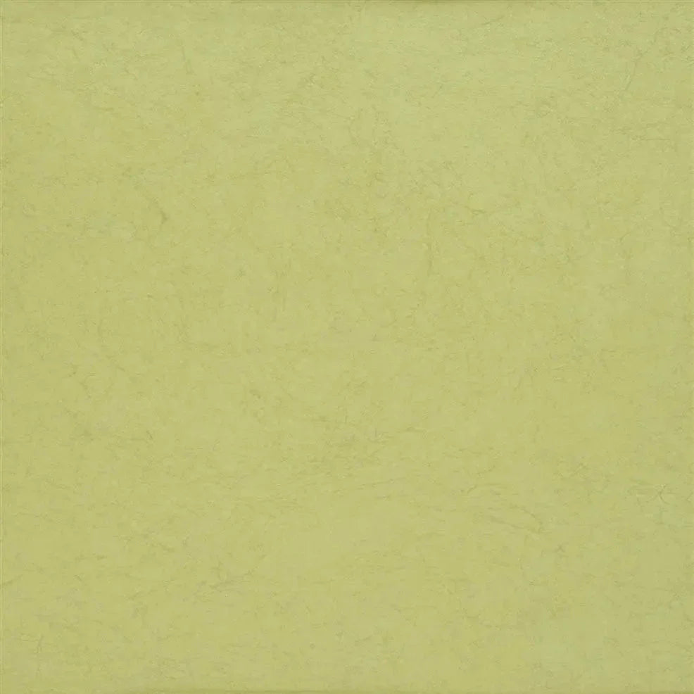 Ernani Wallpaper - Moss - P502/55 - Designers Guild