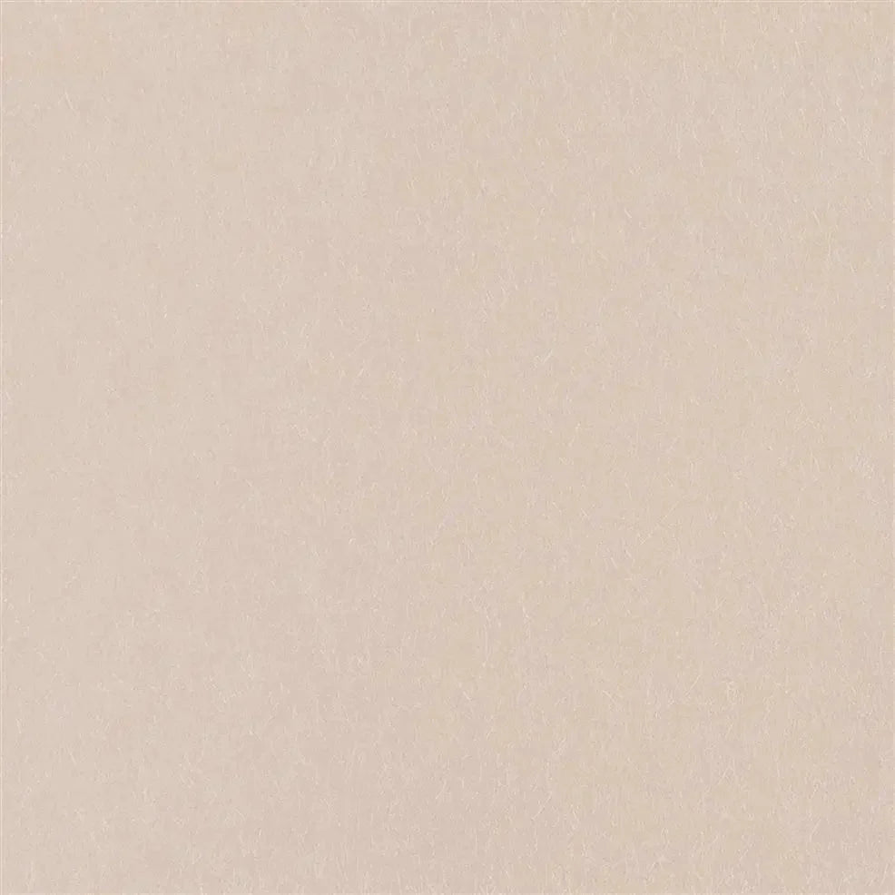 Ernani Wallpaper - Petal - P502/67 - Designers Guild