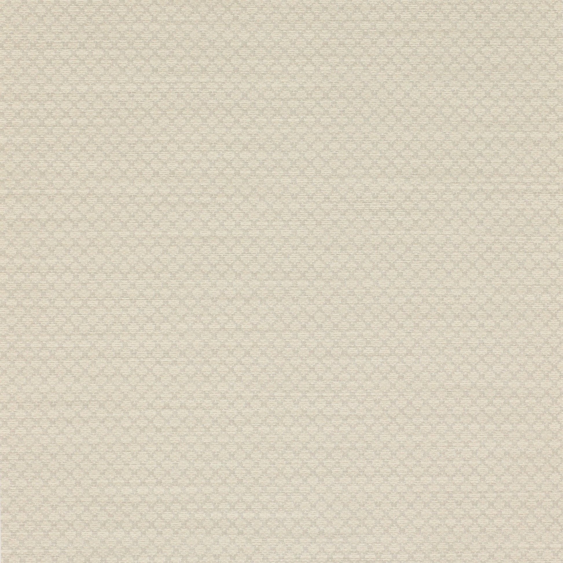 Esther Wallpaper - Stone - Colefax & Fowler - 07183/02