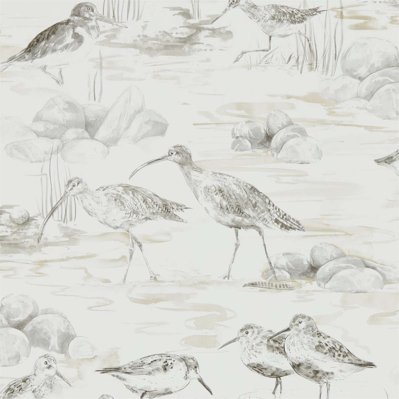 Estuary Birds Wallpaper - Chalk/Sepia - Sanderson - DEBB216493