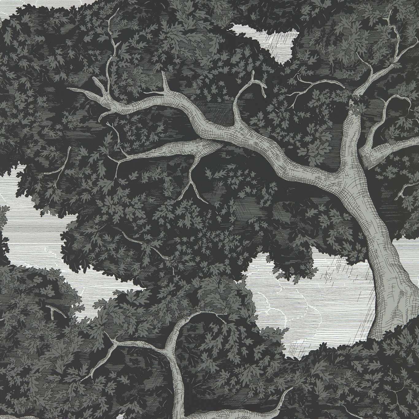 Eternal Oak Wallpaper - Ebony/First Light - HC4W113040 - Harlequin - Premier Wallcovering