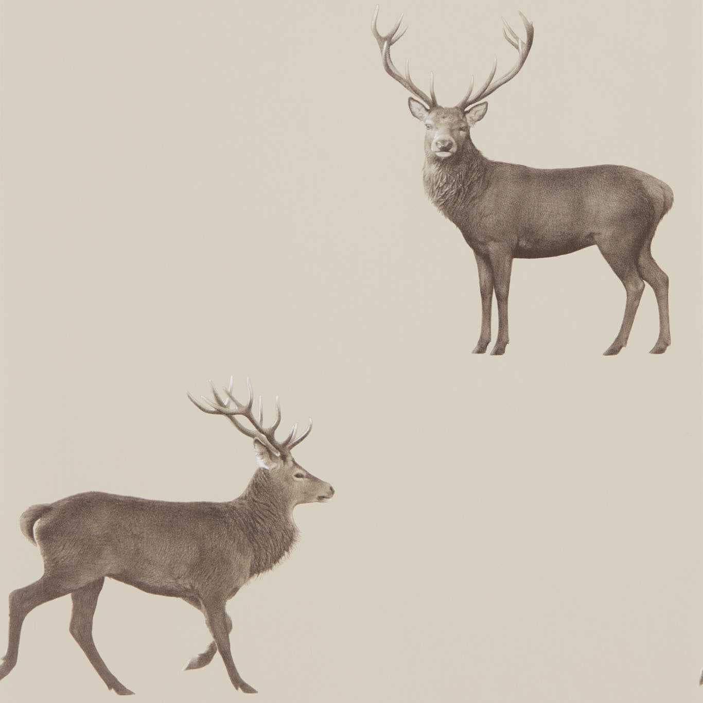Evesham Deer Wallpaper - Birch - DYSI216618 - Sanderson