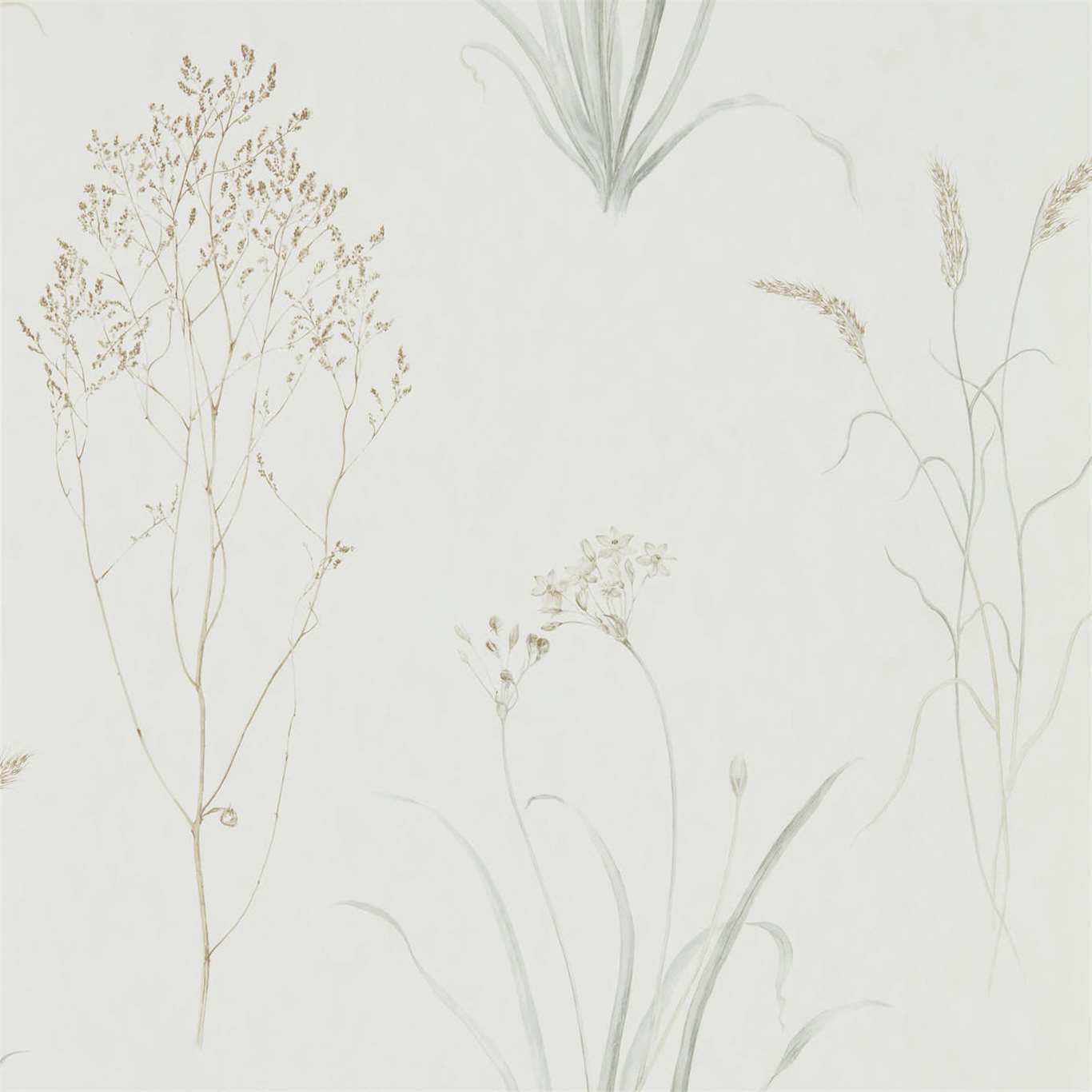 Farne Grasses Wallpaper - Silver/Ivory - Sanderson - DEBB216487
