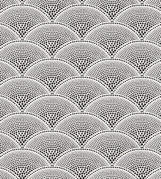 Feather Fan Wallpaper - Black on White - 89/4014 - Cole & Son - Premier Wallcovering