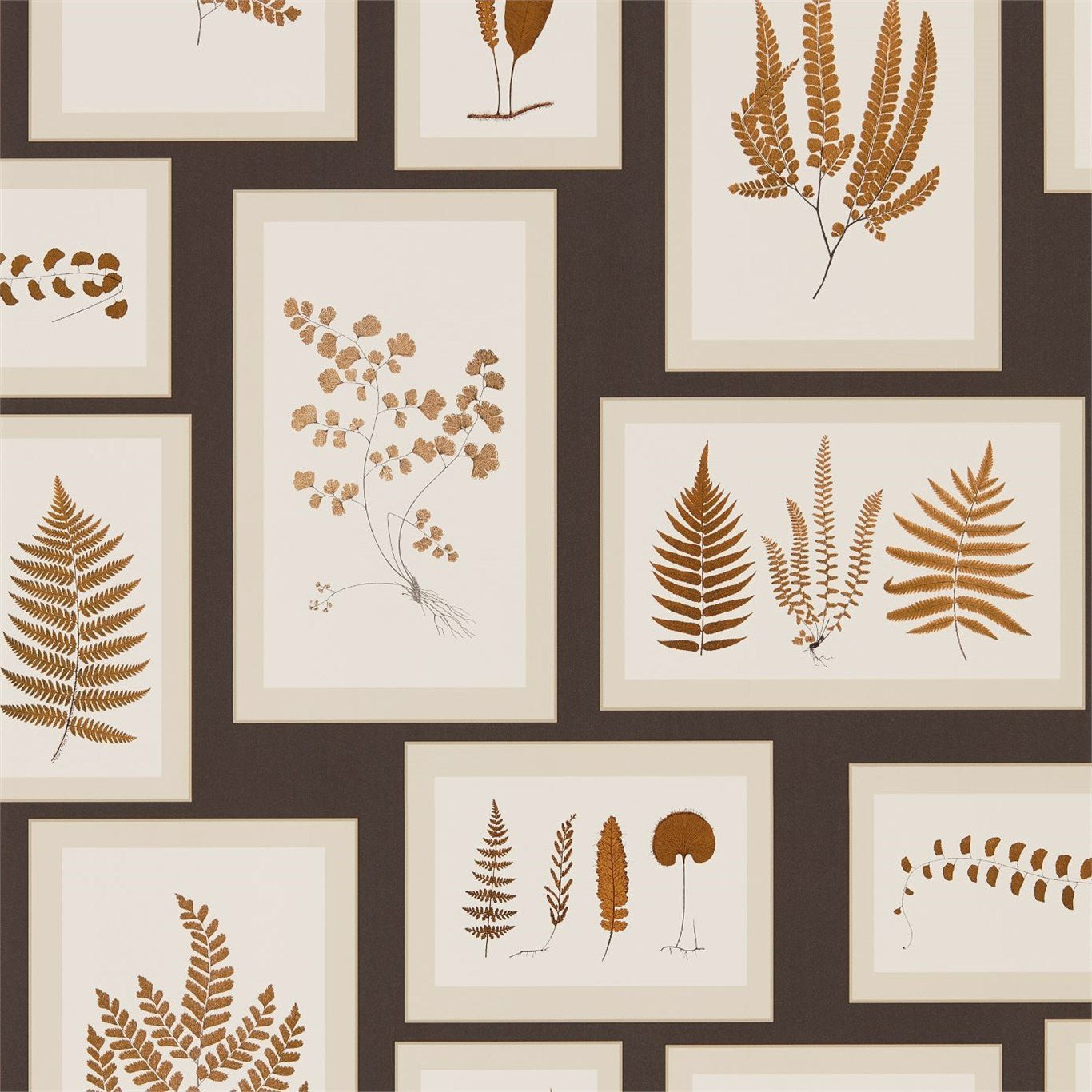 Fern Gallery Wallpaper - Charcoal/Spice - Sanderson - DWOW215713