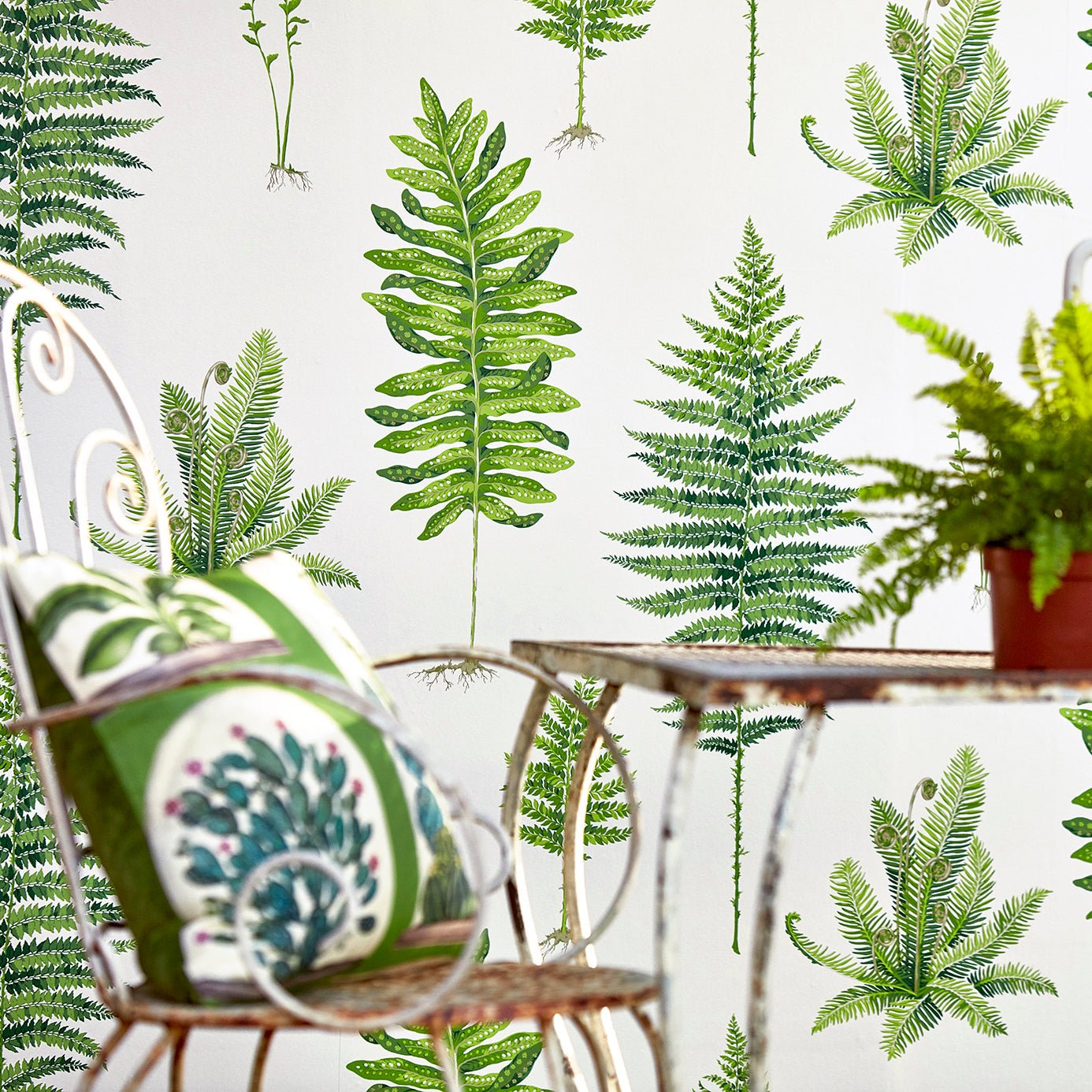 Fernery Wallpaper - Botanical Green - Sanderson - DGLW216633