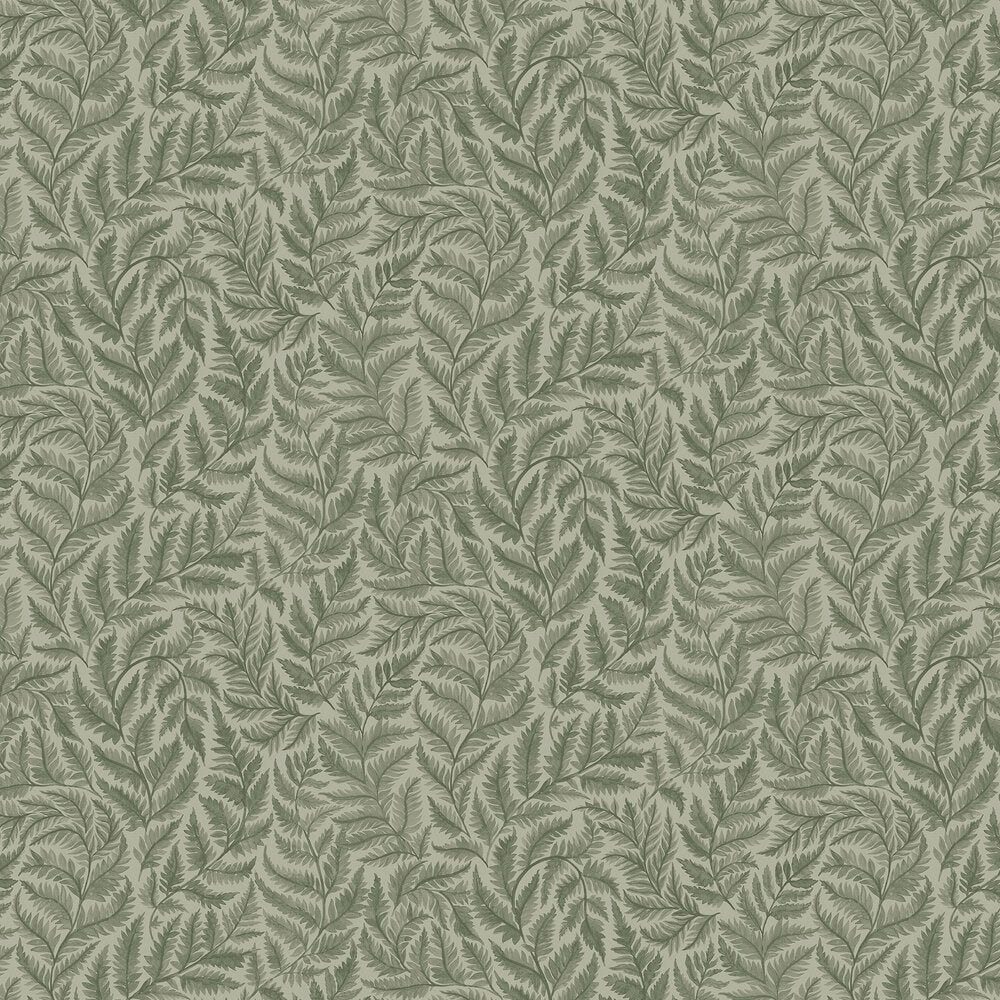 Ferns Wallpaper - Green - Boråstapeter - 7792 - Premier Wallcovering