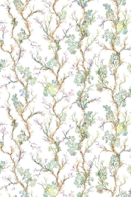 Fine Seaweed Fabric - White - Timorous Beasties - DIGIP/FINE/LU/01 - Premier Wallcovering
