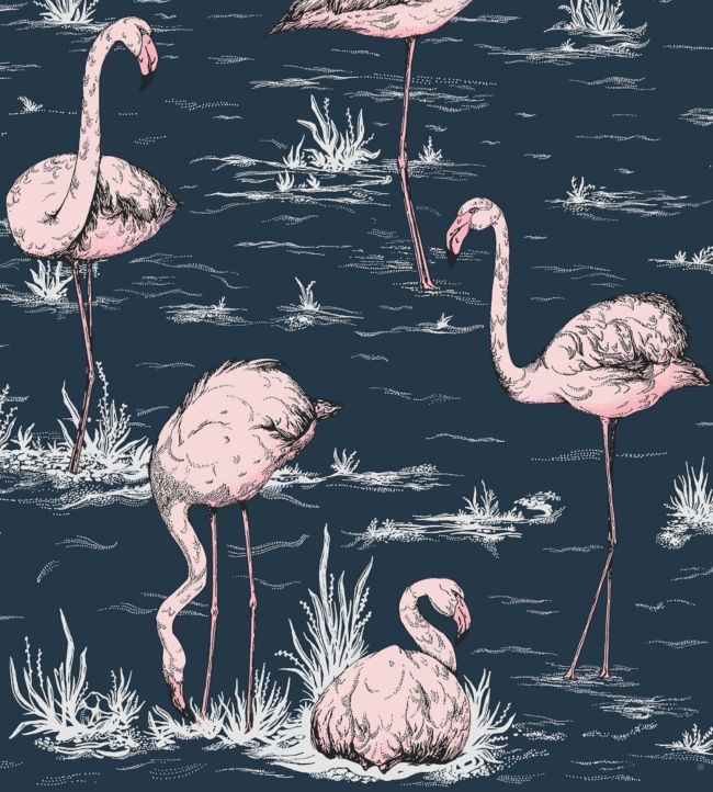 Flamingos Icons Wallpaper - Blush on Midnight - 112/11041 - Cole & Son - Premier Wallcovering