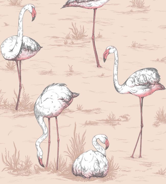 Flamingos Icons Wallpaper - Plaster Pink - 112/11039 - Cole & Son - Premier Wallcovering
