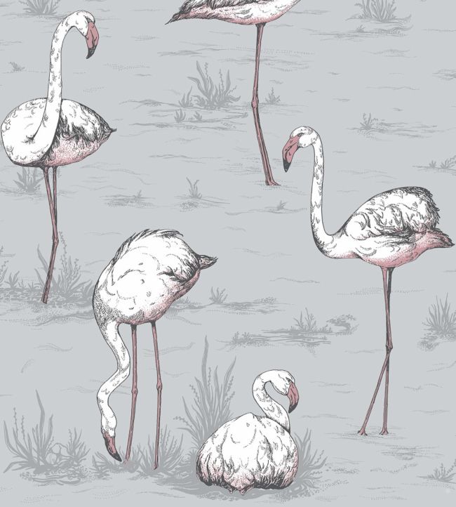 Flamingos Icons Wallpaper - Heath Grey - 112/11040 - Cole & Son - Premier Wallcovering