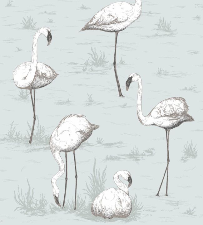 Flamingos Wallpaper - White & Charcoal on Powder Blue - 95/8047 - Cole & Son - Premier Wallcovering