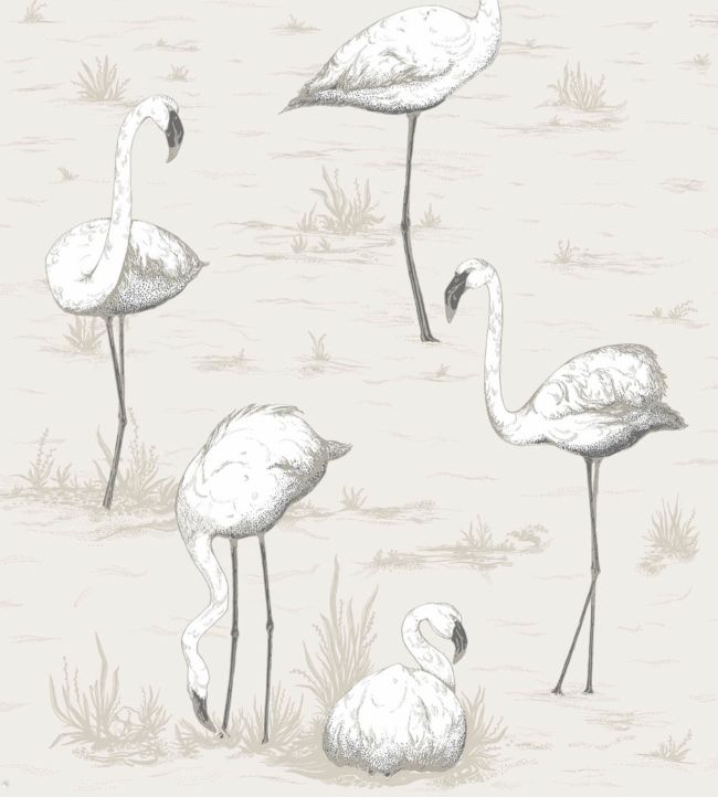Flamingos Wallpaper - Chalk & Soot on Snow - 95/8046 - Cole & Son - Premier Wallcovering