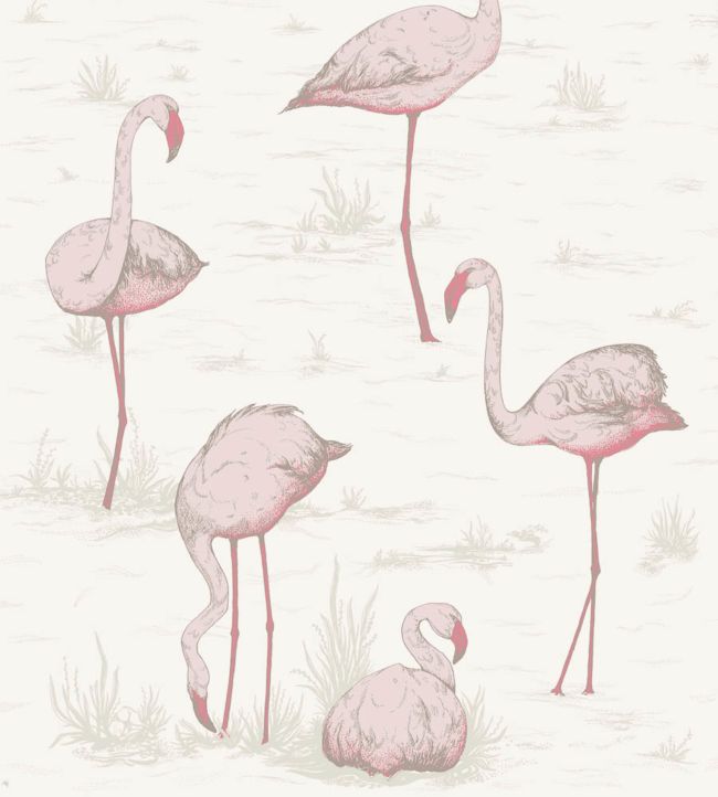 Flamingos Wallpaper - Blush & Cerise on White - 95/8045 - Cole & Son - Premier Wallcovering