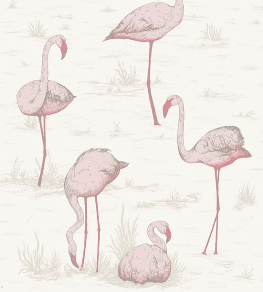 Flamingos Wallpaper - Blush & Cerise on White - 95/8045 - Cole & Son - Premier Wallcovering